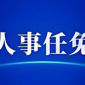 ST天喻高层变动风波：总经理职务免除与新聘引发争议