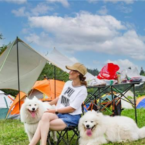 躺平式旅游风靡：景区创新迎合新需求，打造舒适游玩新体验 ...